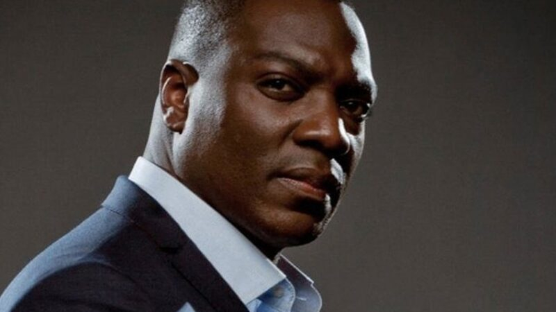 Adewale Akinnuoye-Agbaje entra para o elenco de ‘His Dark Materials’