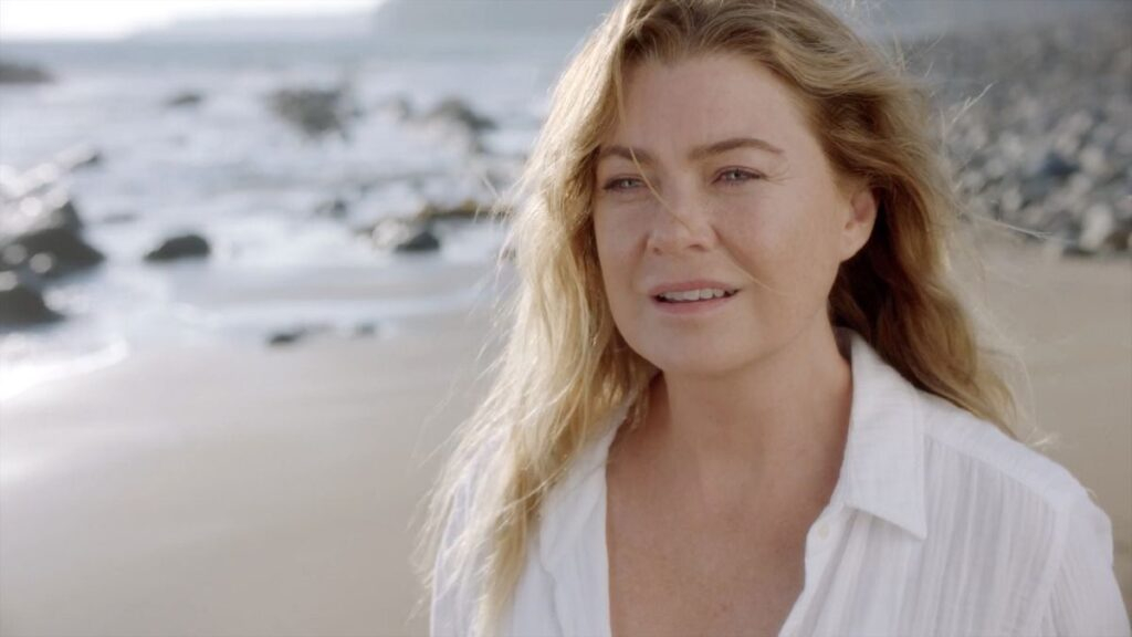 greys — Entre Séries greys