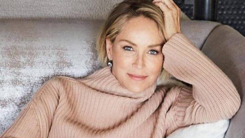 Sharon Stone entra para elenco recorrente de ‘The Flight Attendant’