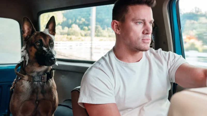 ‘Dog – A Aventura de uma Vida’ estreia em maio nos cinemas brasileiros