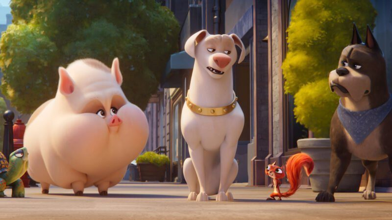 Assista ao novo trailer ‘DC Liga dos Super Pets’