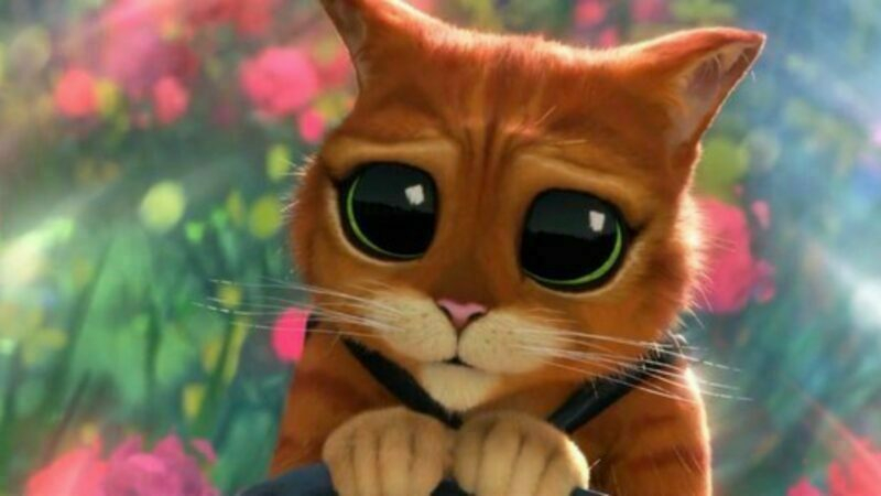 Universal Pictures divulga elenco de dubladores de ‘Gato de Botas 2: O Último Pedido’