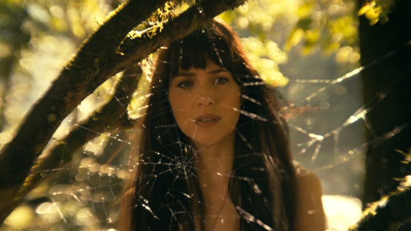 Assista ao trailer de ‘Madame Teia’