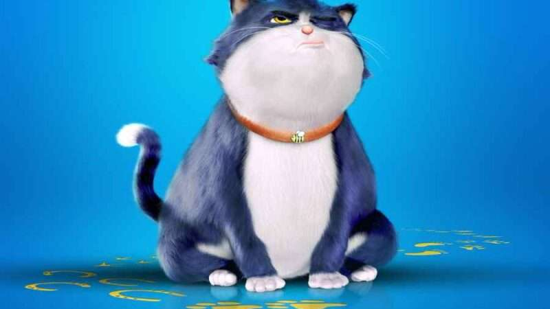 Paris Filmes divulga trailer de ‘Um Gato de Sorte’