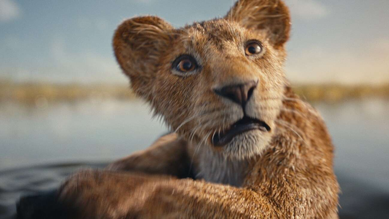 g_mufasathelionking_791_2_c3b28dce — Entre Séries Mufasa: O Rei Leão