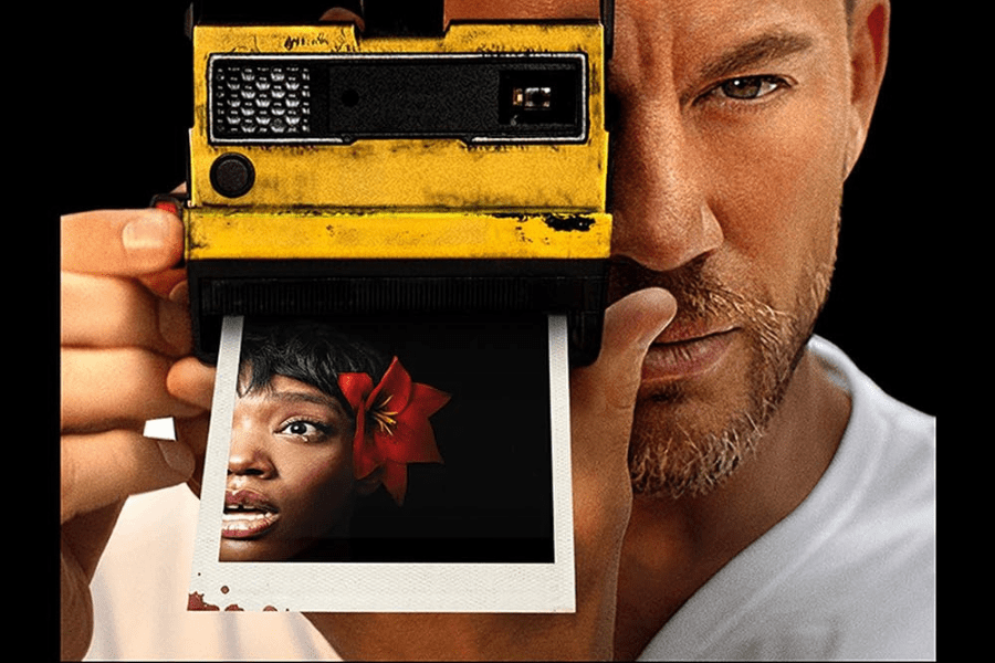 Críticas Pisque Duas Vezes