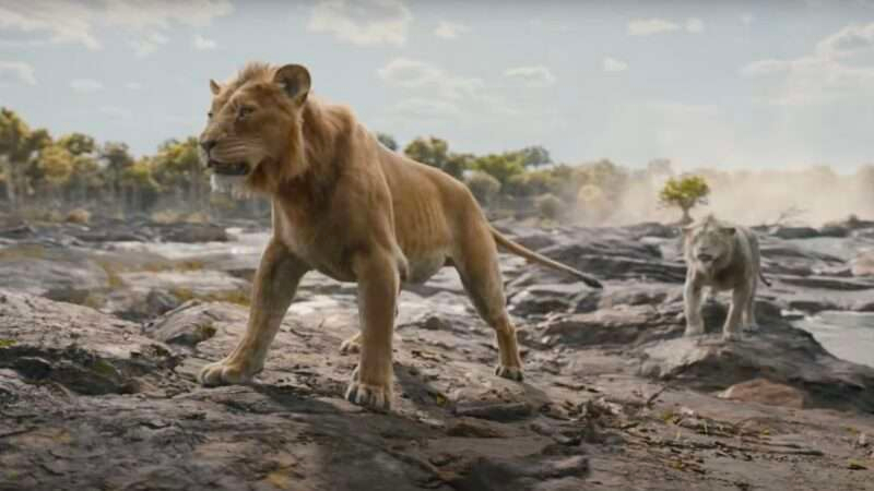 Saiba os destaques do primeiro dia da D23 Brasil