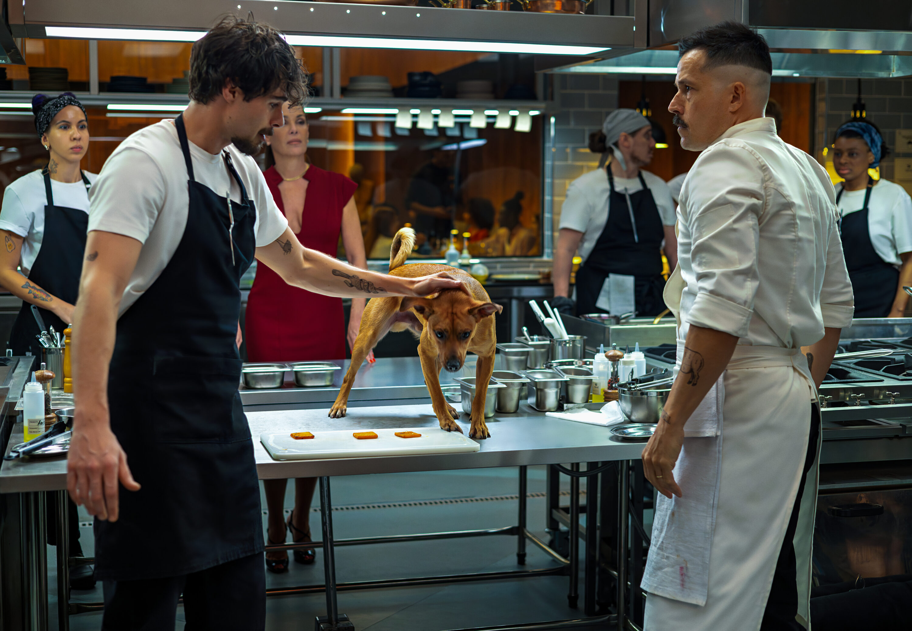 Car 20240926 Sc18 00003 R