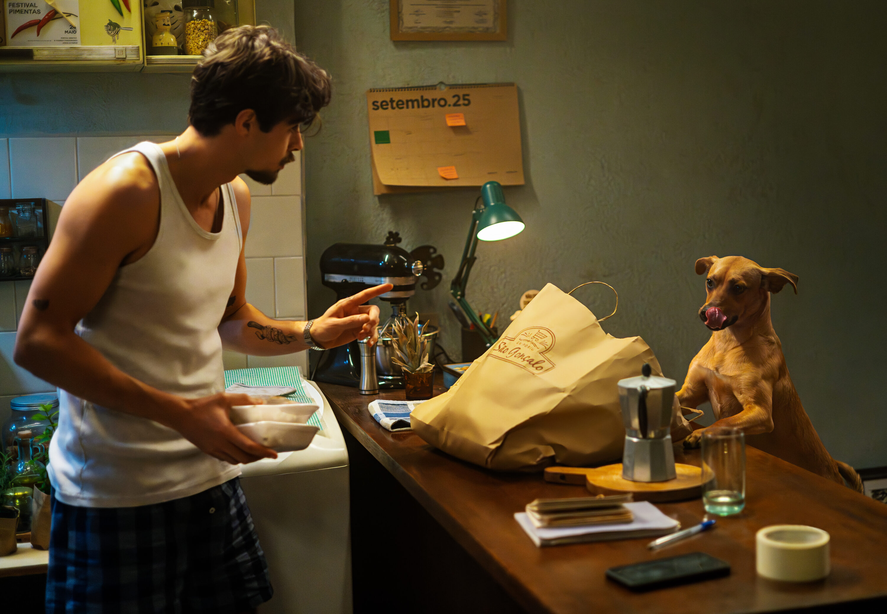 Car 20240918 Sc24 00047 R