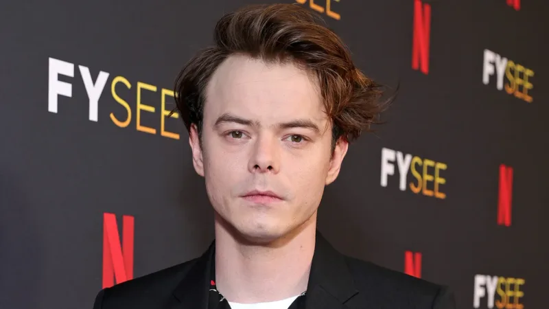 Charlie Heaton será um dos protagonistas de nova série da Netflix