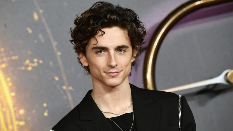 Eventos | Timothée Chalamet estará na CCXP25 em painel de ‘Marty Supreme’