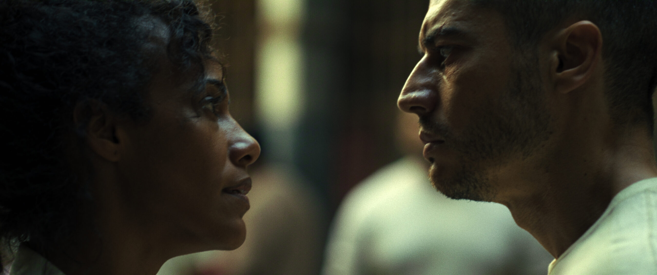 Salve Geral: Irmandade