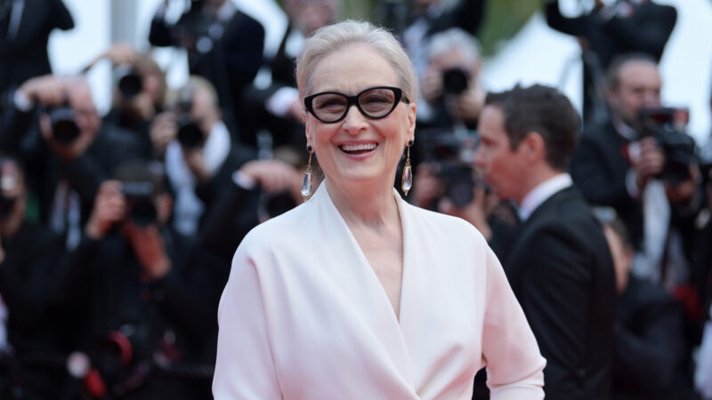 Meryl Streep - the Corrections