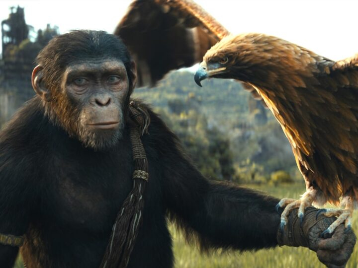 Planeta Dos Macacos