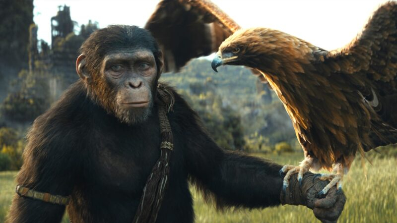 Novo ‘Planeta dos Macacos’ será dirigido por Matt Shakman